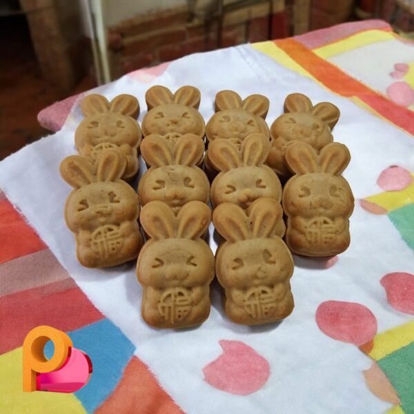 Mooncake Biscuit (香化公仔饼)